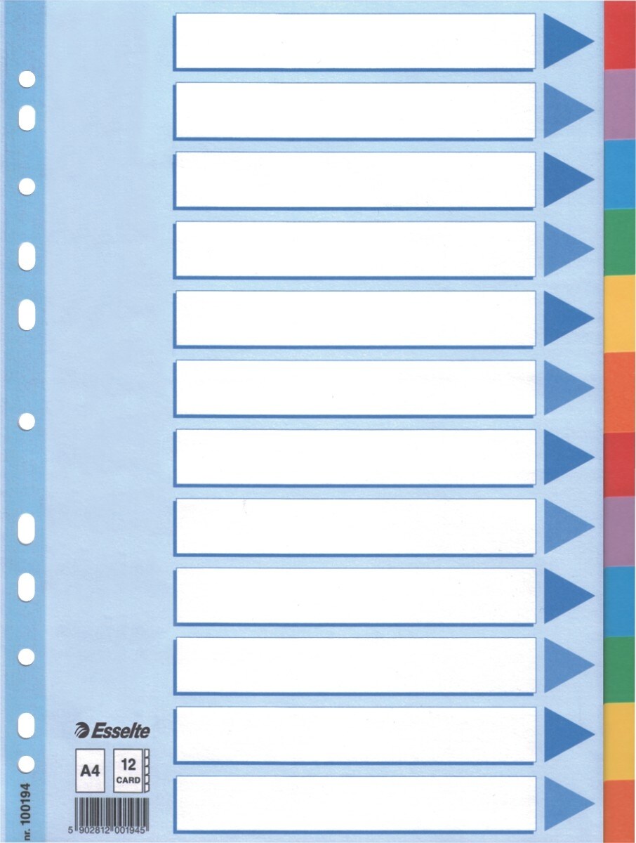 Esselte Register A4 160g/qm Karton 12-teilig Packung mit 10 Stück Image