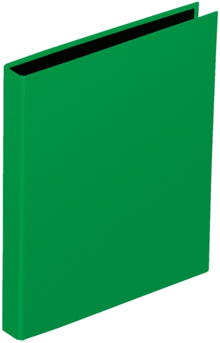 Pagna Ringbuch A4 20mm 2 Ringe grün Packung mit 12 Stück Image