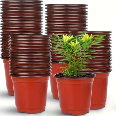TEMU 50- Plastic -shaped Seedling Cups Drainage Holes, Traditional , For & , & Lawn , Potting & Accessories Image
