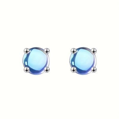 TEMU 925 Silvery Round Earrings, Girlfriend Gift. Party Favor Image