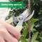 Ciseaux de jardin, outils de jardinage, ustensiles à main, garniture d