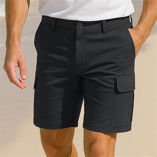 Herren Cargo-Shorts Outdoor Shorts Strandshorts Wander-Shorts Elastischer Bund Mehrere Taschen Gerader Schnitt Einfach Atmungsaktiv Feuchtigkeitsableitend Knielang Lässig Täglich Ferien Urlaub Mode Image