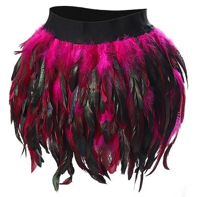 Drag Queen Stolz Regenbogen Federrock Erwachsene Damen Unisex Sexy Kostüm Pride Parade Pride-Monat Halloween Karneval Einfaches Karnevalskostüm Image