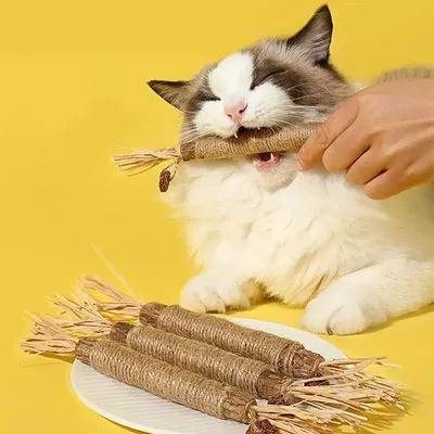 More+Pet+Supplies