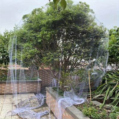 TEMU 1pc Durable Gardening Net-transparent White, 0.99-inch Grid- Vegetables, Fruit Trees And Potted Plants-prevent Birds From Damaging Grapes, Cherries And Strawberries Image