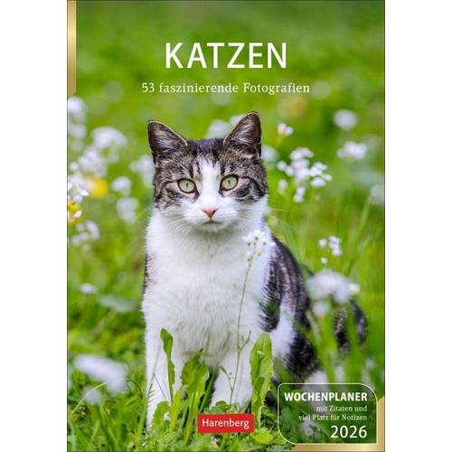 Katzen Wochenplaner 2026 - 53 faszinierende Fotografien - Harenberg