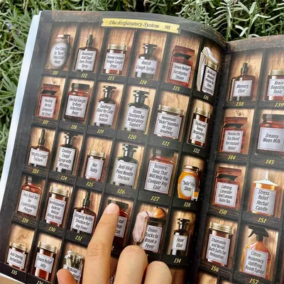 A Home Doctor Herbal Remedies Book 250 Powerful Remedies At Your Fingertips Forgotten Home