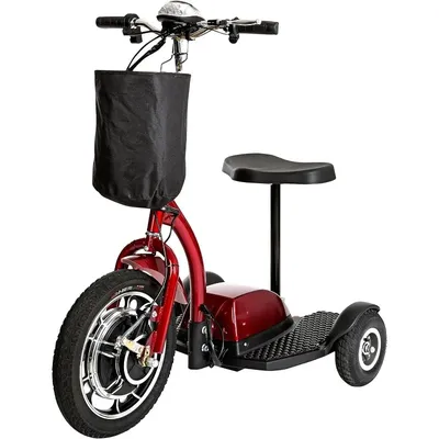 Scooters+Accessories