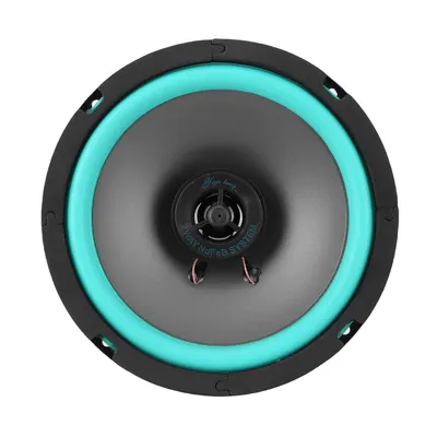4/5/6.5 Inch Universal Car Speaker 12V HiFi Coaxial Subwoofer Sensitivity 92dB Car Audio Music Stereo Damp-proof Car Audio Horn