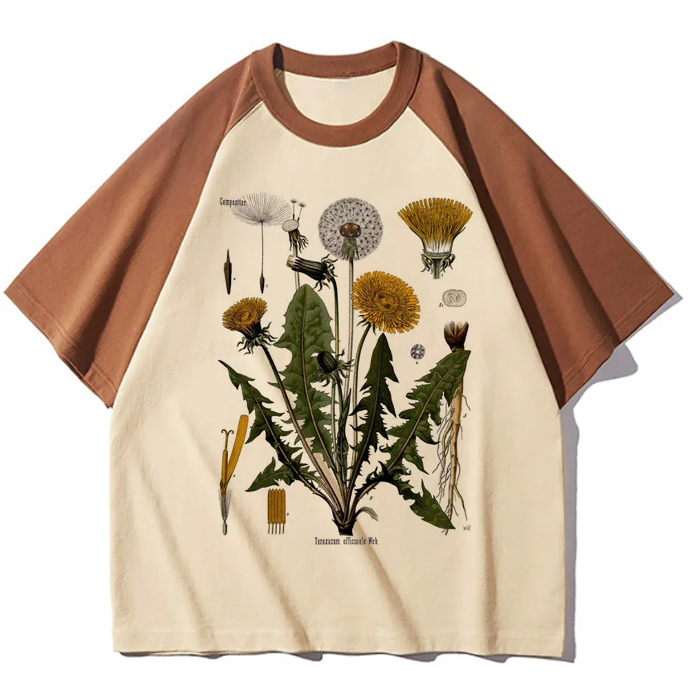Dandelion Tee women graphic crew neck streetwear tshirt girl y2k funny harajuku clothes