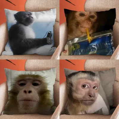 Monkey Nipping Caprisun Meme Kissenbezug, weiche Kissenbezüge für Bauernhaus-Sofa-Dekoration, Image
