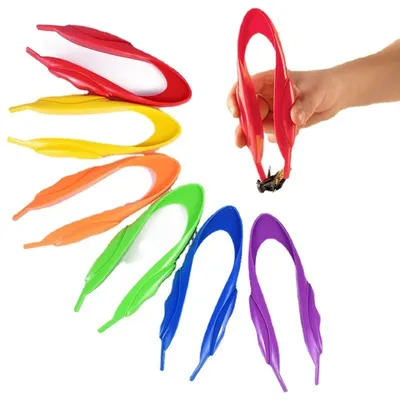6 Stück Kinder Plastik Pinzette Experimente Werkzeuge Biologie Wissenschaft Studie Pinzette Image