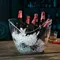 Seau à glace en acrylique transparent, pour 2 vins, champagne ou 4 bières, livraison gratuite HI,