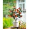 3ft, with 40 Burnt Orange Flower, White Pot Filled with Dry Moss for Home Indoor Decor, Artificial