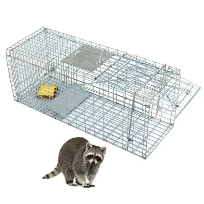 Animal Trap Steel Cage for Small Live Rodent Rat Squirrel Raccoon Iron 32" x 12“