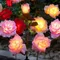 5 tête Rose fleur solaire lumière LED extérieur jardin pelouse lampes pour jardin potager Patch