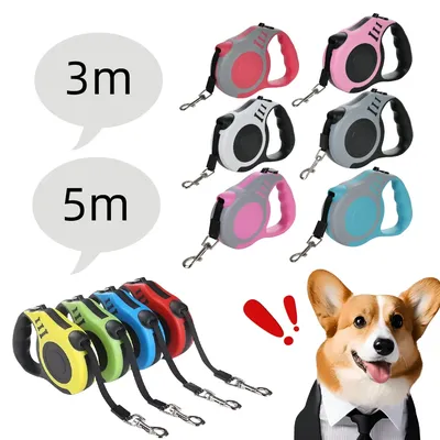 5/3M Nylon Dog Leash Small Medium Large Dogs Cats Automatic Retractable Strong Lead Extend Pet Traction Rope Chihuahua Supplies