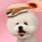 2-In-1 Dog Grooming Comb And Massage Brush Removes Hair And Relaxes Your Pet Perfect For Bath Time Floating Design For Easy Use