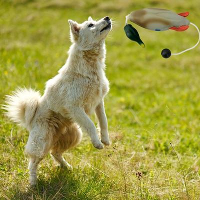 TEMU Outdoor Dog Training Simulation Duck With Feet Anti-bite Grass Beach Search And Recovery Training Image