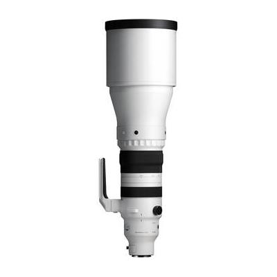 Sigma 300-600mm f/4 DG OS Sports Lens (L-Mount) 598969