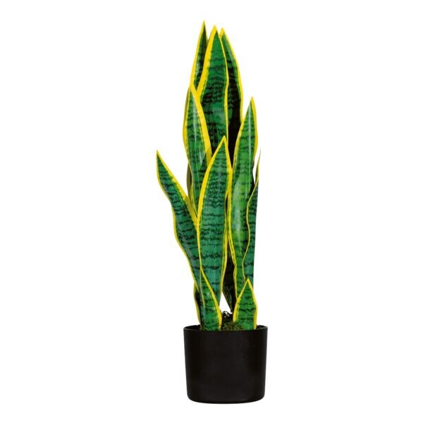 meet Kunstpflanze »Sansevieria« 65 cm, 65 cm