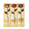 Real Rose in oro 24 carati immerso - Regalo romantico eterno per lei - Perfetto per San Valentino,