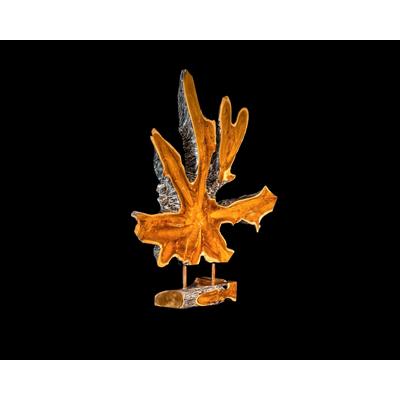 die Faktorei »Blatt« Unikat Deko Black Washed Image