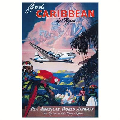 "TEMU 1pc Vintage Airline Travel Poster, 12x18" Canvas Print - Retro Wall Art Featuring Classic Airplane & Tropical Scenery For Living Room, Bedroom Decor - Ideal Gift" Image