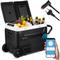 Swanew - 50L Mini Réfrigérateur Frigo Portable Réfrigérateur Glacière Électrique Voiture à