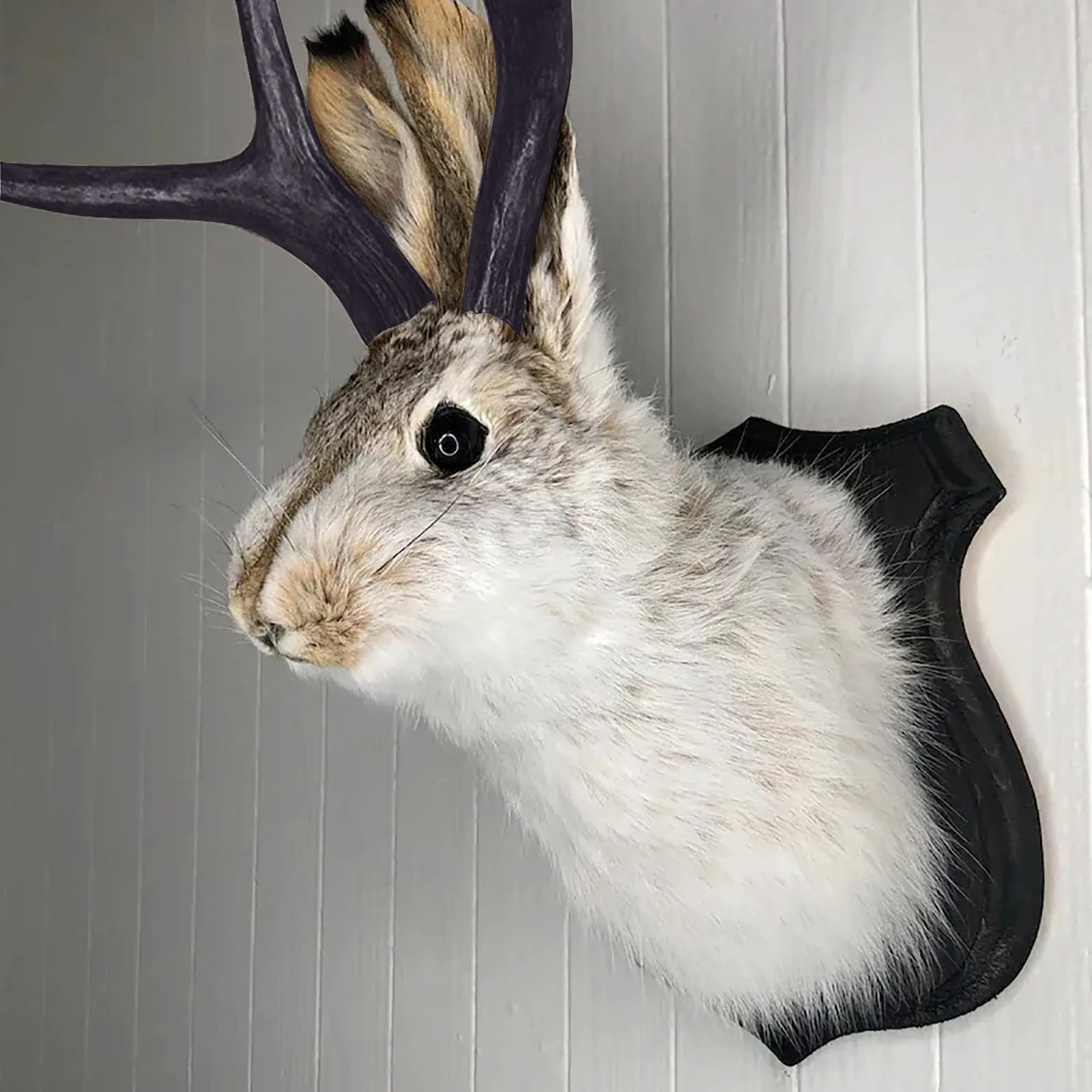 Ostergeschenk Hasenkopf Geweih Wandbehang Dekoration Wanddekoration Simulation Kaninchenprobe Harz Kunst Ornamente Jackalope Dekor Image
