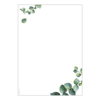 Sigel Motivpapier Eukalyptus DP626 A4 100 Blatt, 21x29.7 cm Image