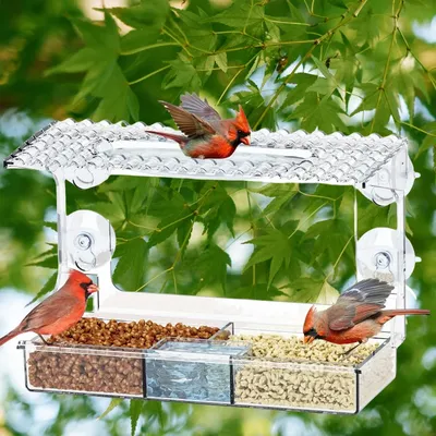Window Bird Feeder Tray House Shape Waterproof Transparent Squirrel Food Container Outdoor Suction Cup Installation