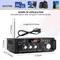 BT-298A Amplificatori digitali domestici Display audio 300W + 300W Amplificatore di potenza audio stereo HIFI digitale Amplificatori digitali a 2 canali