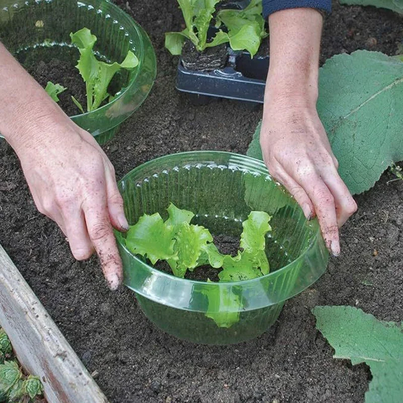20/10 teile/satz blumentöpfe Schnecke Kragen Slug Anlage Schutz Gemüse Abdeckungen Wiederverwendbare Landwirtschaftliche Anlage Schutz Sparen Wasser Image