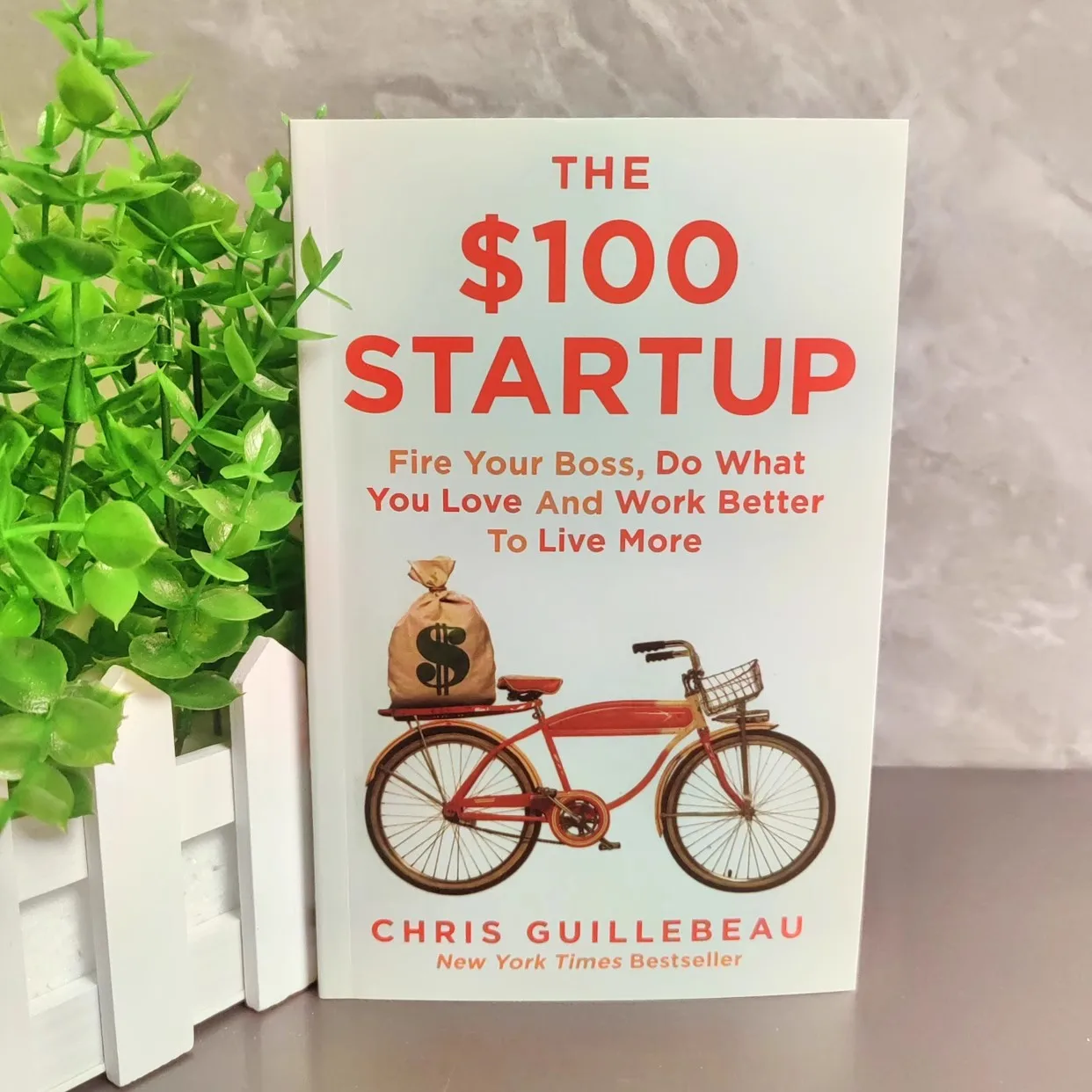 Die Startup von 100 $: Feuer deinen Chef, was Sie lieben und funktionieren Sie besser, um mehr englisches Buch zu leben Image