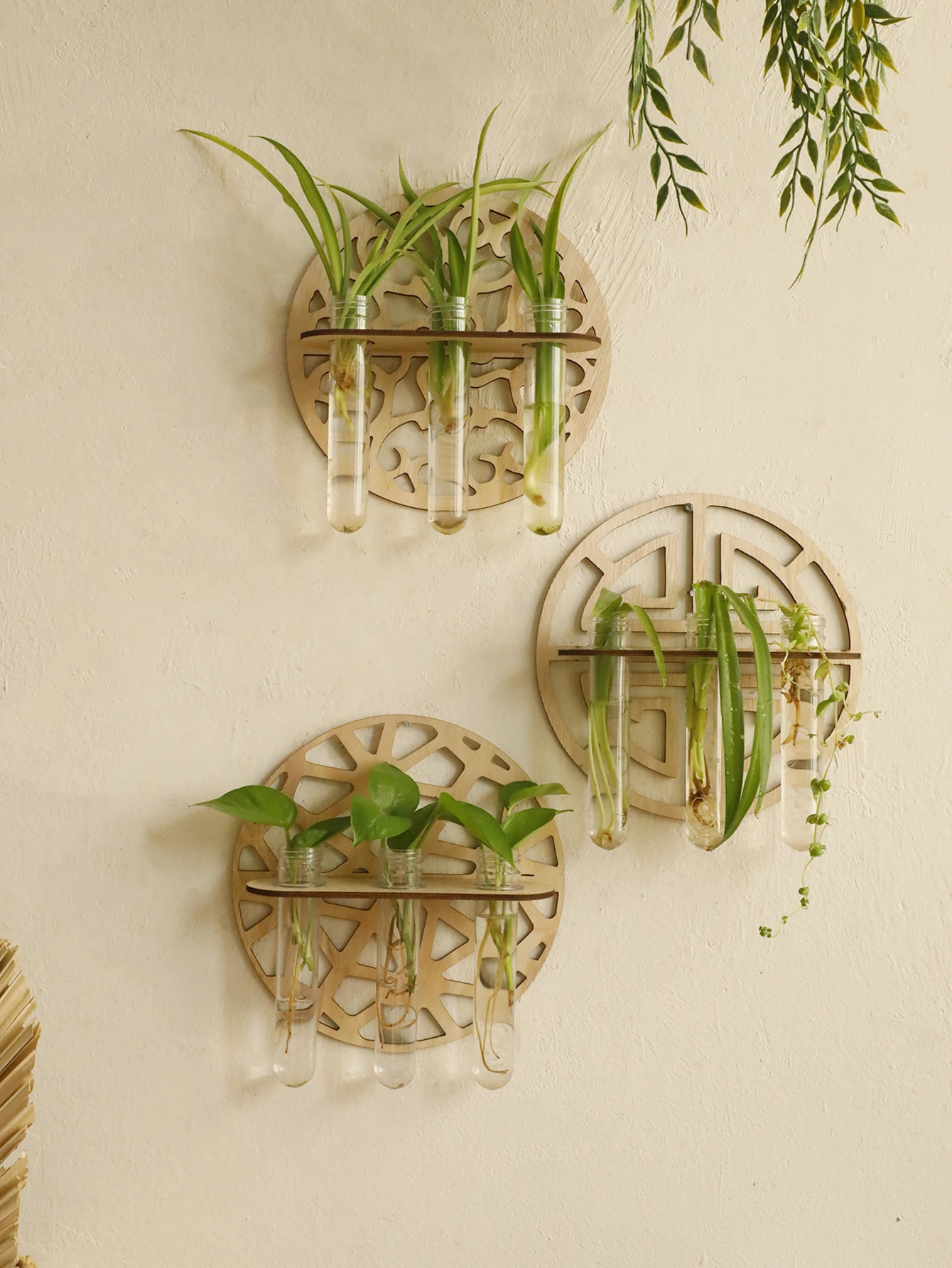 Blumentopf zur Pflanzenvermehrung mit 3 Röhren, wandmontierter Vaseständer zur Vermehrung aus Holz, rustikaler hängender Reagenzglas-Pflanzenhalter für den Land Image