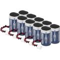 Ansmann - 10er Pack Lithium-Thionyl-Chlorid Batterie Pacco batteria adatto alle alte temperature