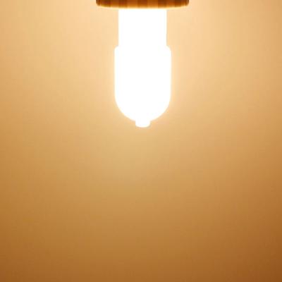 10/20pcs Mini G4 LED Bulb AC DC12V AC 220V 2W Ampoule Led Lamp Corn Lights Replace Halogen Spotlight Chandelier Halogen Lamp