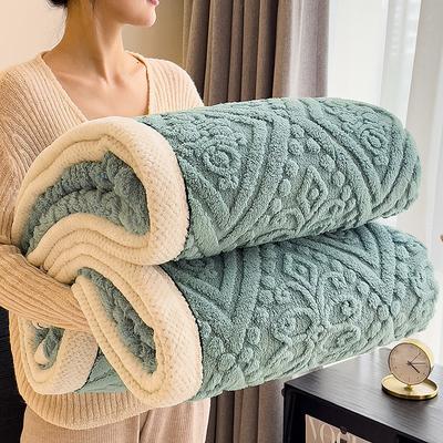 Sherpa Blanket Fleece-Layerd Thick Warm Blanket for Winter Bed Super Soft Fuzzy Flannel Wool Like Reversible Velvet Plush Twin Queen King Weighted Blanket