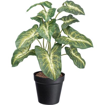 Künstliche Zimmerpflanze CREATIV GREEN "Syngonium Pixie", grün, H:38cm, Kunstpflanzen, mit grüngelben Blättern