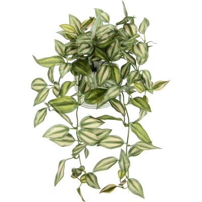 Kunstpflanze I.GE.A. "Tradescantiahänger", bunt (grün,rot), B:26cm H:42cm L:22cm, Kunstpflanzen, Mit Übertopf Kunstpflanze Hängepflanze Pflanzenampel Kletterpflanze Image