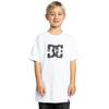 Shirttop DC SHOES "DC Star Glow", Kinder, Gr. 16(165-172cm), weiß, [Hauptstoff] 75% Baumwolle, 25% Baumwolle, Tops