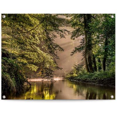 Poster REINDERS "Bach im Wald", grün (farbe bild(er): grün), B:80cm H:60cm T:0,1cm, Leinwand, Bilder Image