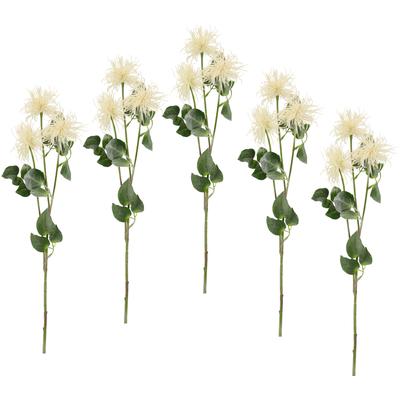 Kunstblume I.GE.A. "Spinnenprotea", weiß, B:16cm H:78cm, Obermaterial: 60% Polyester, 40% Kunststoff, Kunstpflanzen, 5er Set Image
