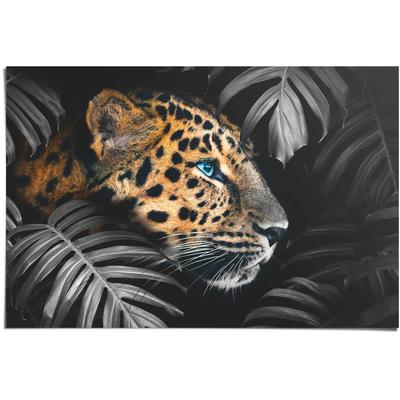 Poster REINDERS "Leopard Jungle - Eyecatcher - Tiermotiv - Modern", bunt (farbe bild(er): mehrfarbig), B:91,5cm H:61cm, Papier, Bilder Image