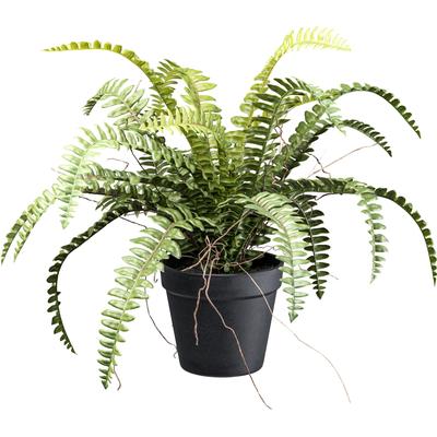 Kunstpflanze CREATIV GREEN "Waldfarn", grün, H:35cm Ø:50cm, Kunstpflanzen, mit Wurzeln