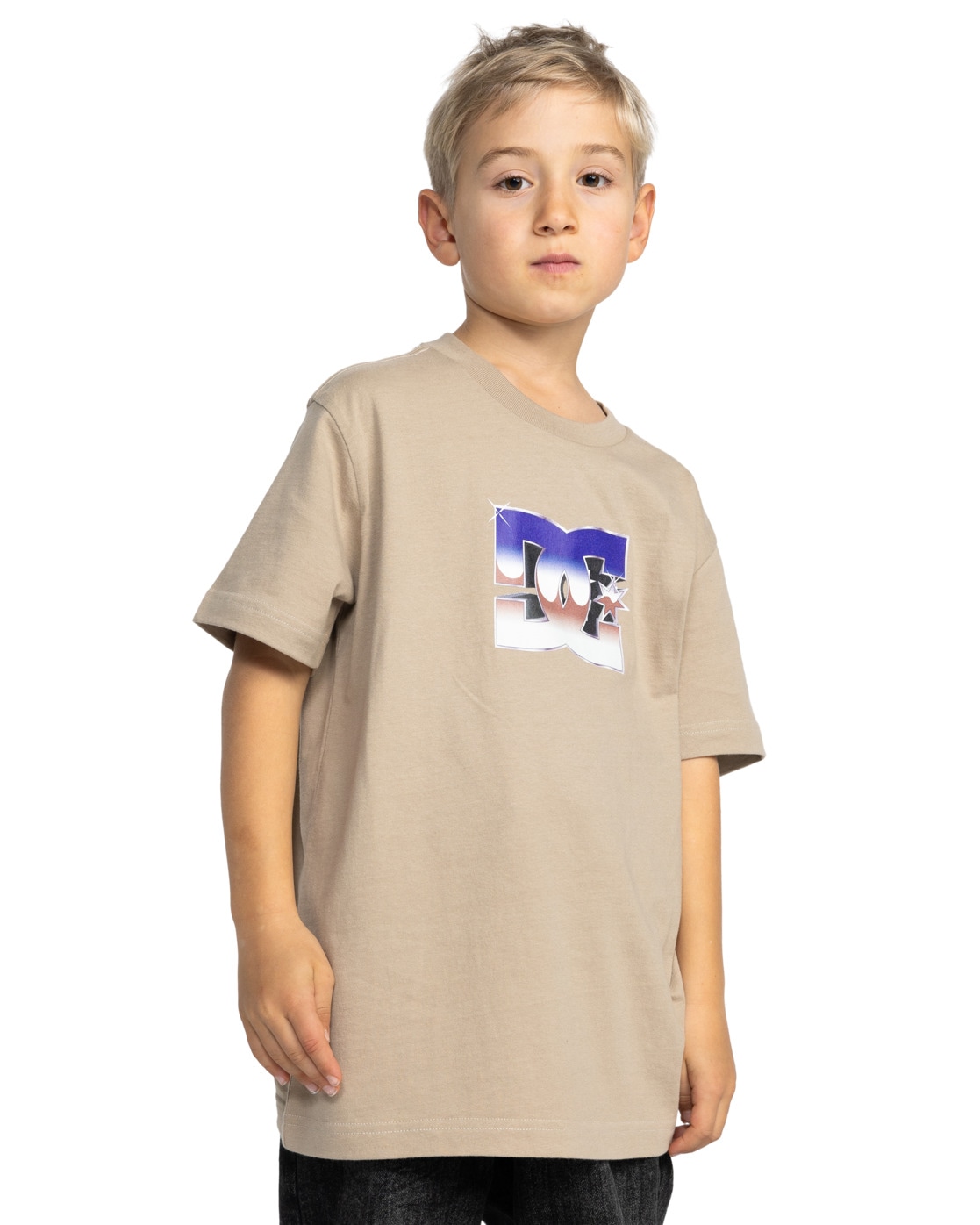 T-Shirt DC SHOES "Metallic Star", Jungen, Gr. 14(155-164cm), beige (crockery), Obermaterial: 75% Walkfrottier, 25% Walkfrottier;, Shirts T-Shirt
