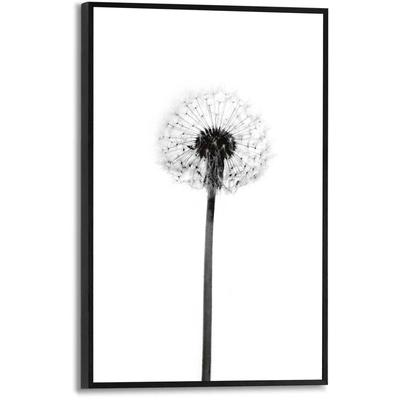 Poster REINDERS "Pusteblume", schwarz (farbe bild(er): schwarz, weiß), B:20cm H:30cm T:1,6cm, MDF, Bilder Image