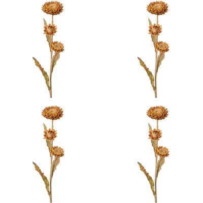 Kunstblume CREATIV GREEN "Strohblume", braun (cognac), H:61cm, Obermaterial: 95% Polyethylen, 5% Polyester, Kunstpflanzen Image