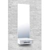 Spiegelpaneel PAROLI "Akron", grau (weiß, betonfarben), B:50cm H:150cm T:35cm, Glas, Spiegel